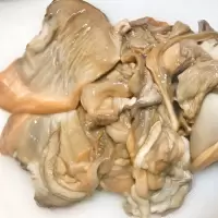 河蚌肉 2斤 微山湖新鲜淡水大河蚌 海巴子 非珍珠蚌 活体鲜活