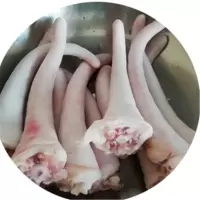 猪尾巴 生鲜 新鲜 生猪尾土 猪肉 美食 500g