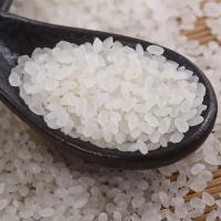 5斤大米 圆粒香米农家新米 5斤东北大米
