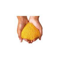 新米小米 新食用小米月子米五谷杂粮农家 精选油小米2斤