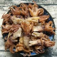 小海兔头小乌贼头笔管鱼头干海鲜干货海兔头干海鲜干货 淡干大号海兔头 一斤送海带丝一包