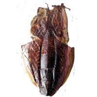 新晒墨鱼干干货海鲜干货墨鱼目鱼干乌贼干墨鱼礼品 750-800g(一个)