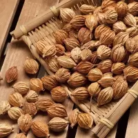 广西八角大料茴香桂皮香叶胡椒粒砂仁草果草寇毕拨香茅草花椒批发 砂仁500g