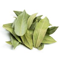 八角大料茴香桂皮香叶胡椒粒砂仁草果草寇毕拨香茅草花椒批发 香叶100g