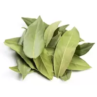 广西八角大料茴香桂皮香叶胡椒粒砂仁草果草寇毕拨香茅草花椒批发 香叶100g