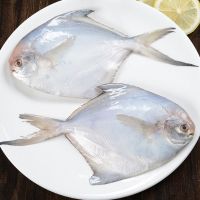 鲳鱼银鲳鱼白鲳鱼平鱼5斤新鲜海鲜水产鲜活冷冻日照特产 五斤银鲳(每斤7-9条)即将结束