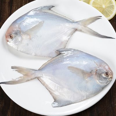 鲳鱼银鲳鱼白鲳鱼平鱼5斤新鲜海鲜水产鲜活冷冻日照特产 5斤银鲳鱼(每斤4-5条)特大