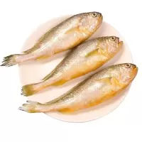 小黄鱼新鲜小黄鱼冷冻黄花鱼大黄花新鲜海鲜香酥黄花鱼 5斤(一斤9-12条即将结束特价