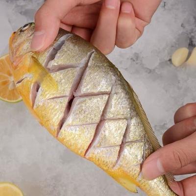 深海小黄鱼新鲜小黄鱼冷冻黄花鱼大黄花新鲜海鲜香酥黄花鱼 5斤装中大号一斤7-8条大一点好很多