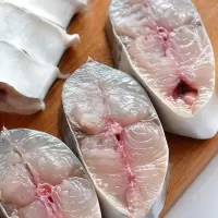 [顺丰]大鲅鱼马鲛鱼新鲜鲜活冷冻 鲅鱼段海鱼海鲜批发 [精品鲅鱼段]中号 三斤装