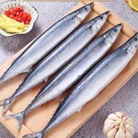 秋刀鱼 鲜 新鲜冷冻深海海鲜烧烤食材日式秋刀鱼鲜活水产海鱼 6斤装