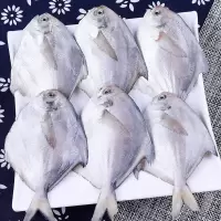 顺丰 海捕鲳鱼新鲜白鲳鱼银鲳鱼大海鱼冷冻整箱年货非养殖 小号5斤经济装(三天内捕捞)