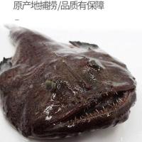 水产 新鲜鱼 蛤蟆鱼老头鱼 大嘴鱼 内脏已去现捕 5斤实惠装