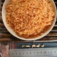 淡干长岛金钩海米 小虾米虾仁虾皮开洋海鲜水产干货 小海米250g