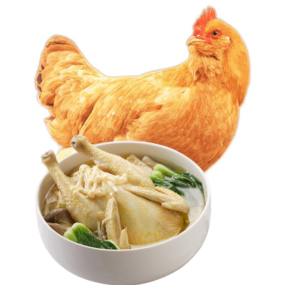 正宗土鸡 农家散养鸡三黄土鸡走地鸡草鸡童子鸡生鲜食材 2只装