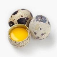 农家新鲜生鹌鹑蛋新鲜 非鸽子蛋鸡蛋鹅蛋鸭蛋破损包赔 100枚 普通快递