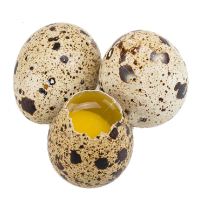 农家 杂粮 喂养 新鲜 生 鹌鹑蛋 100枚现捡生鹌鹑蛋