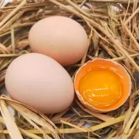 土鸡蛋散养农村柴鸡蛋20枚现捡新鲜营养笨鸡蛋批发整箱 20枚试吃装