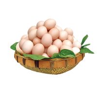 破损包赔 农家散养土鸡蛋新鲜土鸡蛋正宗草鸡蛋笨柴鸡蛋 50枚(40-50g)