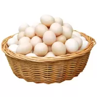 正宗新鲜土鸡蛋农家散养柴鸡蛋现捡营养草鸡蛋农村笨鸡蛋 20枚装