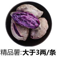 [香甜粉糯]沙地紫薯新鲜 番薯板栗红薯地瓜蜜薯蔬菜 精品薯[带箱10斤装]