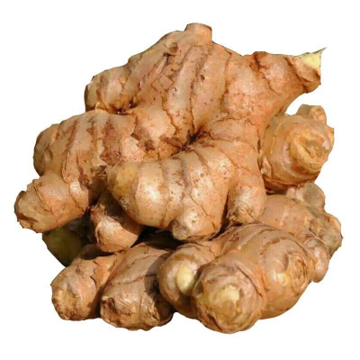 老姜大黄姜现挖发货老姜黄姜生姜月子姜新鲜蔬菜 2斤大黄姜(老姜)