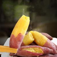 蛋黄板栗红薯新鲜香薯番薯地瓜蔬菜批发小果[个头偏小] 5斤