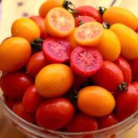 圣女果小西红柿新鲜蔬菜樱桃小番茄非千禧小柿子孕妇水果 红色加黄色各2.5斤(泡沫箱装)