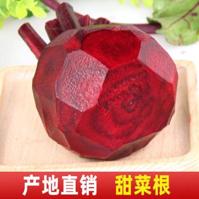 甜菜根新鲜红菜头保健蔬菜红心萝卜紫菜头红甜菜根红根 中-甜菜根5斤(约5-10个)精选