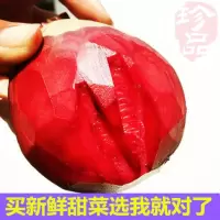 甜菜根新鲜红菜头保健蔬菜红心萝卜紫菜头红甜菜根红根菜小-甜菜根5斤(约10-15个)