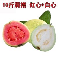 番石榴红心白心芭乐应季新鲜水果单果 10斤混搭[带箱9.5-10斤]
