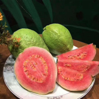 番石榴红心白心芭乐应季新鲜水果单果 10斤红心[带箱9.5-10斤]