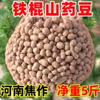 铁棍山药豆新鲜淮山河南焦作蔬菜特产铁杆山约山药蛋大号5斤 2500g