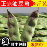 东北豆角油豆角新鲜蔬菜一点红油豆角面豆角开锅烂5斤多省