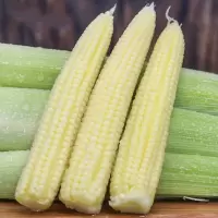 水果甜玉米笋新鲜蔬菜5斤广西水果小玉米芯仔珍珠荀嫩玉米须