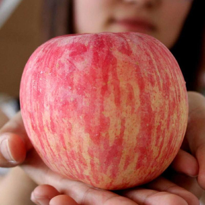 陕西苹果红富士新鲜水果类批发冰糖心丑苹果 净重5斤