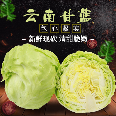 云南新鲜蔬菜卷心菜包菜莲花白鲜圆白包菜绿甘蓝 泡菜 5斤