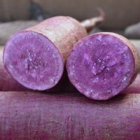 紫薯沂蒙紫罗兰新鲜5斤蜜甜香甜软糯香地瓜糖心蔬菜红薯番薯