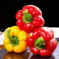 新鲜彩椒蔬菜圆辣椒红黄灯笼椒五彩水果甜椒5斤