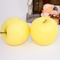 苹果黄金帅粉苹果面平果黄元帅新鲜水果5斤