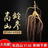 人参野山参人参生晒参30年林下参山参东北特产泡酒送礼佳品 大山参礼盒装[20-30克][1颗]