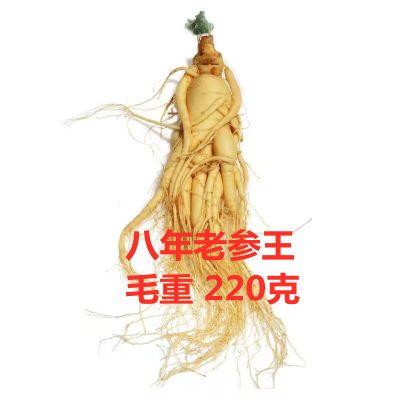 新鲜人参批发东北长白山特大白人参泡酒鲜人参吉林人参 8年参毛重220克