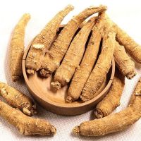 西洋参条精选花旗参原丛整枝参段大粒头可代切片打粉 整枝 [6年参]100g装(单支约15g)