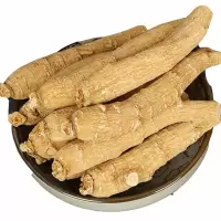 西洋参整枝精选花旗参段 [大枝]100克整枝(单个约10克)