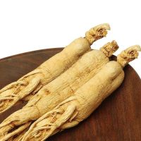干人参 人参野山参白参生晒参圆参批发 [1支20克]