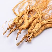 人参人参林下参微残人参残枝山参煲汤泡酒野山参老山参 野山参残枝[15克][2-4枝]