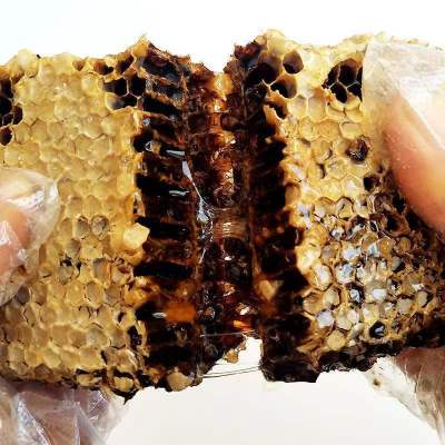老蜂巢蜜 天然农家蜂巢蜜蜂窝嚼着吃的蜂蜜老巢蜜50g