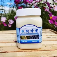 椴树蜜长白山纯正农家自产结晶白蜜土蜂东北黑蜂雪蜜正宗 椴树雪蜜500克(500克一瓶)