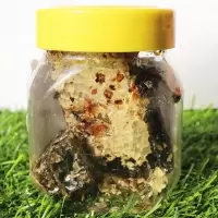 5年老蜂巢蜜 农家蜂巢蜜蜂窝嚼着吃的蜂蜜老巢蜜100g 老巢蜜100克试吃