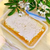 蜂巢蜜古树洞百花蜜封盖农家土蜂蜜蜂窝蜜悬崖蜂蜜 嚼着吃 养蜂人手切整块蜂巢蜜一盒一斤